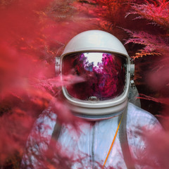 Rainbow Bricks - Live at Driftwood, SF Pride 2025