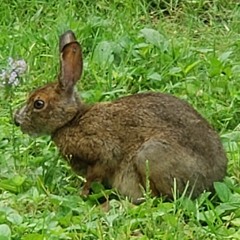 2023 - 07 - 28 -Friday Night Sessions  OLD SKOOL   #FridayNightSessionsLateNiteBreed