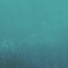 serene