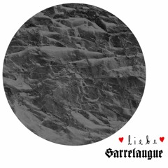 #043 LIEBE: Sarrelangue