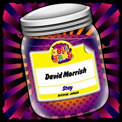 JAM039 David Morrish - Stay (SAMPLE)
