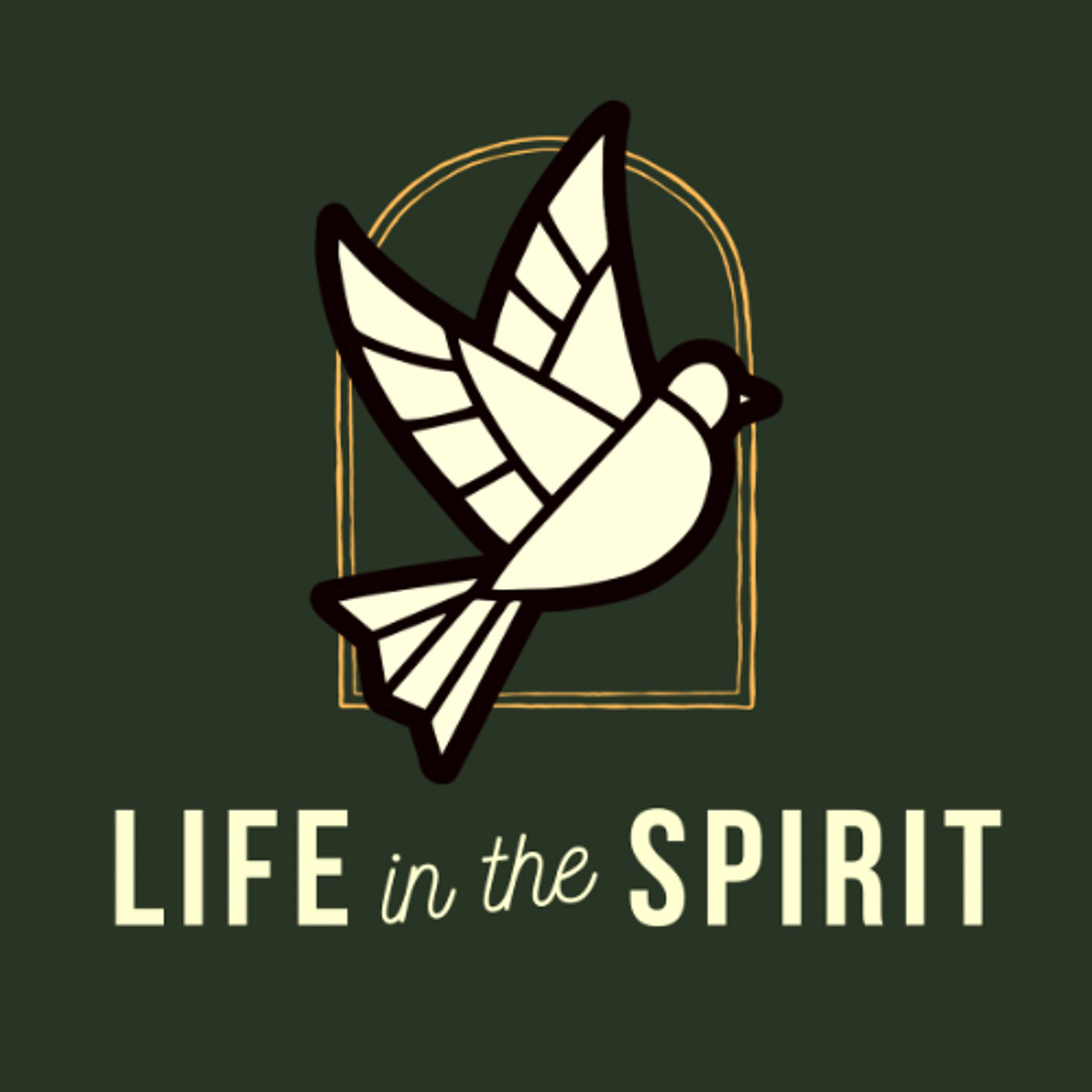 The Spirit of Adoption | DaShawn Cousins | 06.16.25 episode artwork