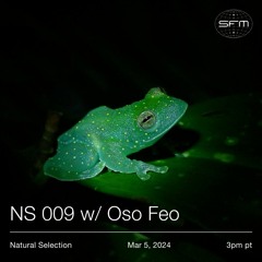 NS0009 w/ Oso Feo