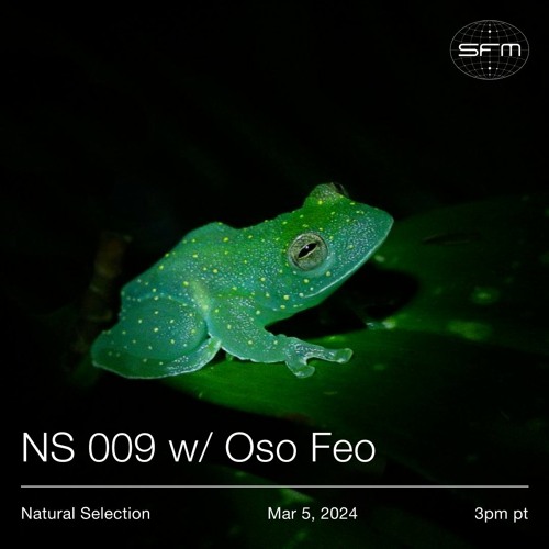 Natural Selection: Oso Feo