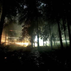 Where I Turned Away