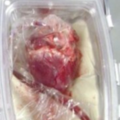 heartinabox