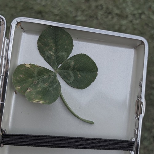 4leafclover