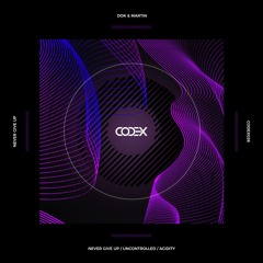 Never Give Up (Original Mix)