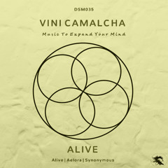 DSM035 | Vini Camalcha - Synonymous (Original Mix)