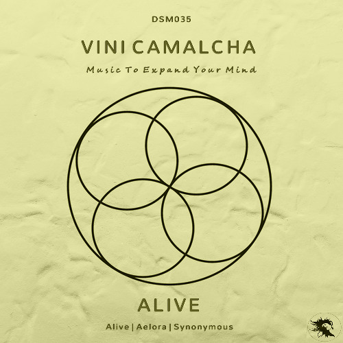 DSM035 | Vini Camalcha - Synonymous (Original Mix)