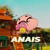 Artwork for ANAIS