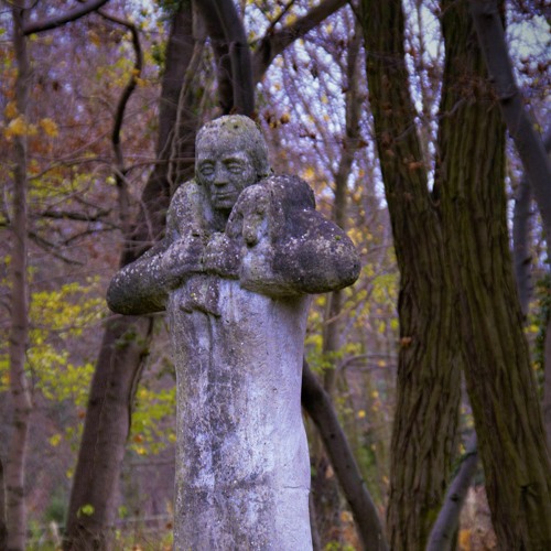 Schamane - twitch stream 2/2020