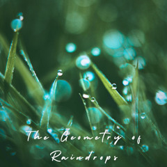 The Geometry of Raindrops