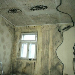 лезвие сеул – мерседес