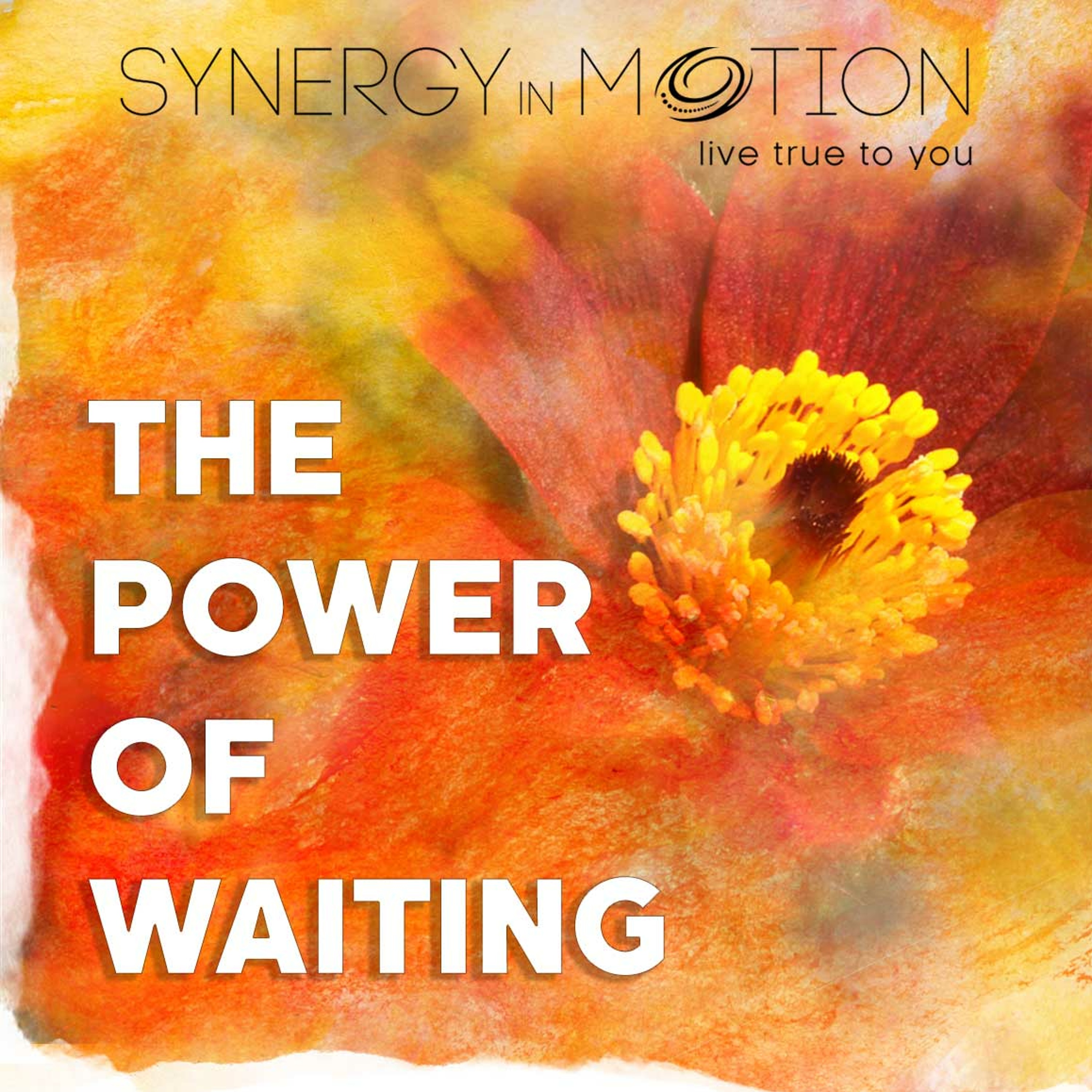 The Power Of Waiting ~ Hexagram 5 ~ 2022-12-04 episode artwork
