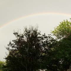 Anthony Geffert Jr - If It Was Up To Me.m4a