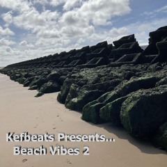 Beach Vibes 2