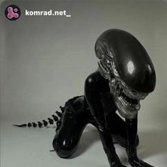 KOMRAD 01