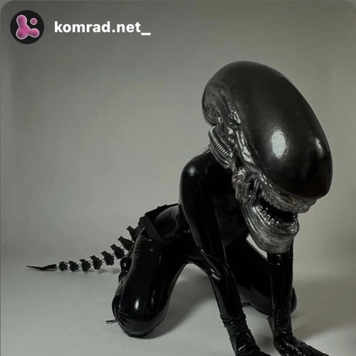 KOMRAD 01
