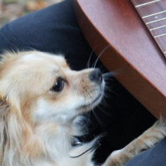 Its All Over But The Crying - The Ink Spots Cover