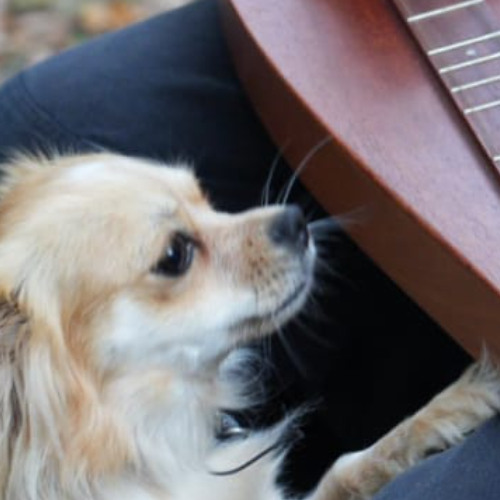 Its All Over But The Crying - The Ink Spots Cover