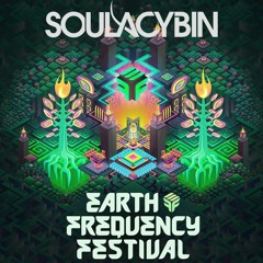 Live in Australia @ Earth Frequency Festival 2023