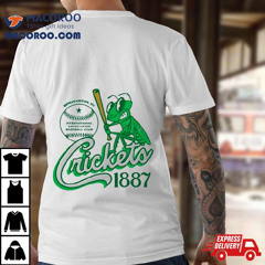 Binghamton Crickets New York Vintage Defunct Baseball Teams Shirt
