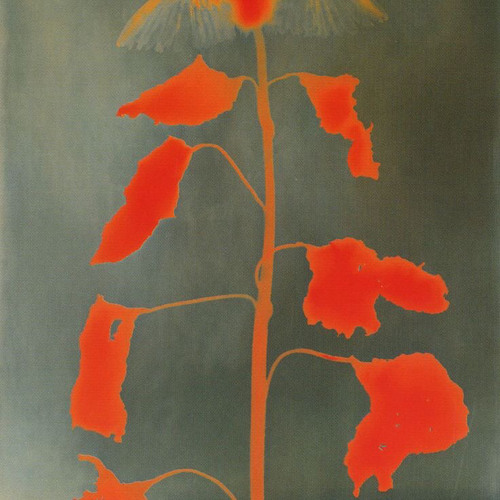 Aiobahn - On Repeat (feat. Dan Soleil) (fuii edit)