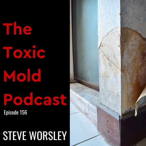 EP 156: Is That Toxic Mold... or Just Discoloration?