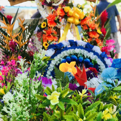 Kot Afichie ft. 🥀💥AnnaLisa & Rhajah‼️🔥