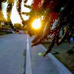 Loving You Lord's All I'm Living For