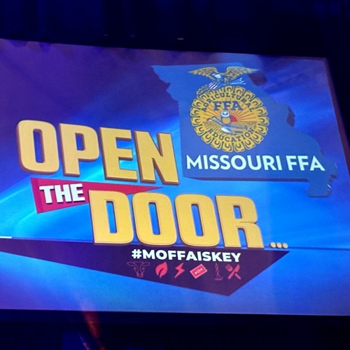 Polo FFA