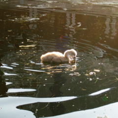 tape loop drone (recorded 9-9-2025)