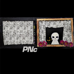 Perfect Needle corp. - Prassi Dilettuosa Consolidata