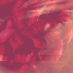 Rose Lens (Prod. CRCL)