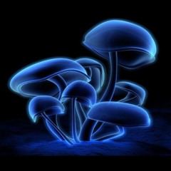DJ Borai 07   -   Club - PsyTechno Set -  29.12  -