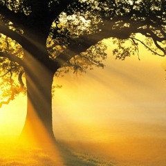 quick made flute beat