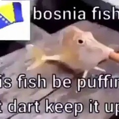 Bosanska Artiljerija Instrumental Slowed (Bosnian Folk Song)