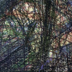 Mind