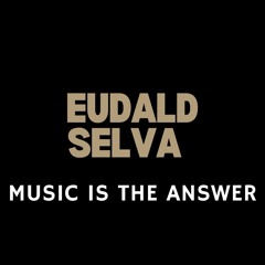 Music Is The Answer (Eudald Selva Edit)