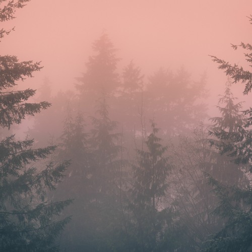 Deep Breakfast 127 - Fragile X