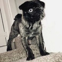 What Do You Want Me To Say (To Make Me Feel Better)