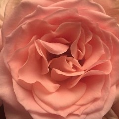 𝕔𝕠𝕦𝕝𝕕 𝕔𝕣𝕪 𝕛𝕦𝕤𝕥 𝕥𝕙𝕚𝕟𝕜𝕚𝕟 𝕒𝕓𝕠𝕦𝕥 𝕪𝕠𝕦