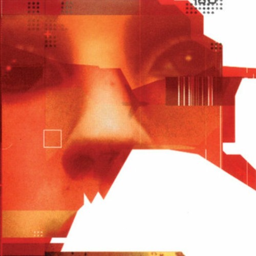 The Observer & The Seen