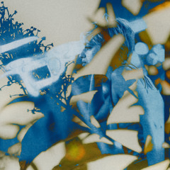 Bambi at pe:rsona 2025