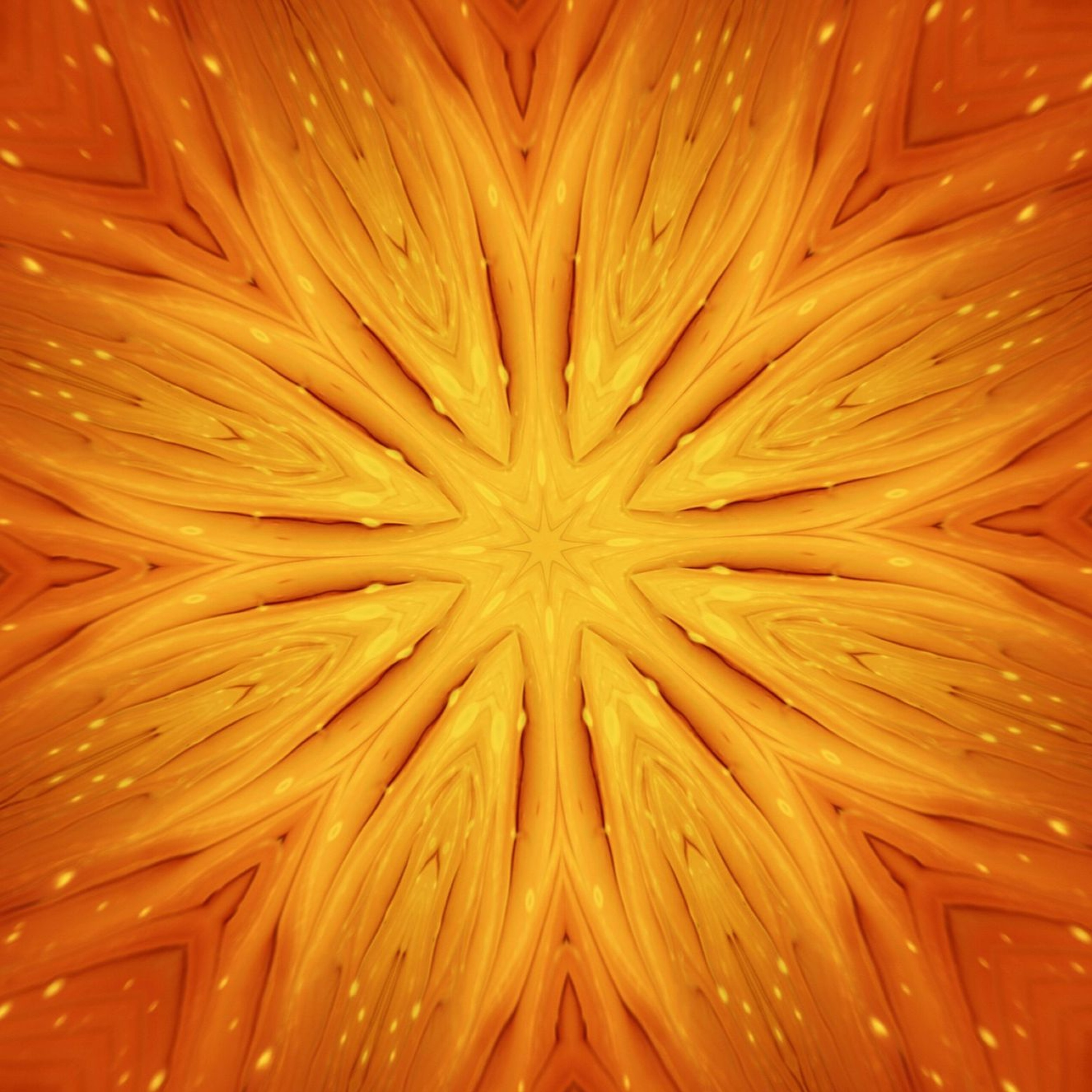 Bloom Within episode artwork