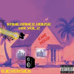 KAME HOUSE MIX VOL.2