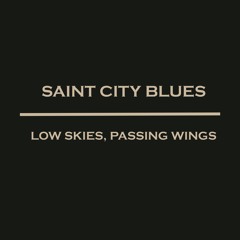 Low Skies, Passing Wings