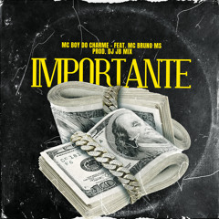 Importante (feat. MC Bruno MS)