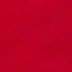 prtty hoes love red ft bloodsbb